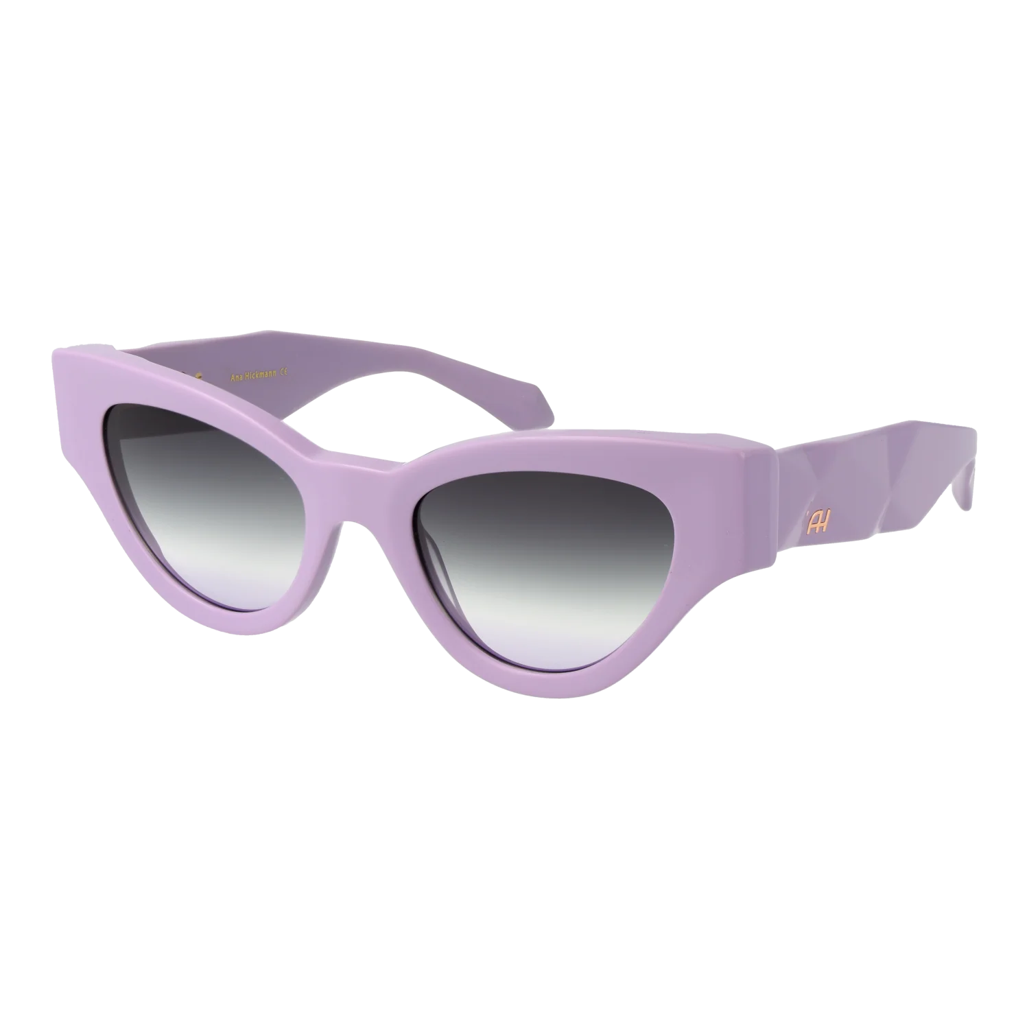 Ana Hickmann Sunglasses AH9409 D01 52