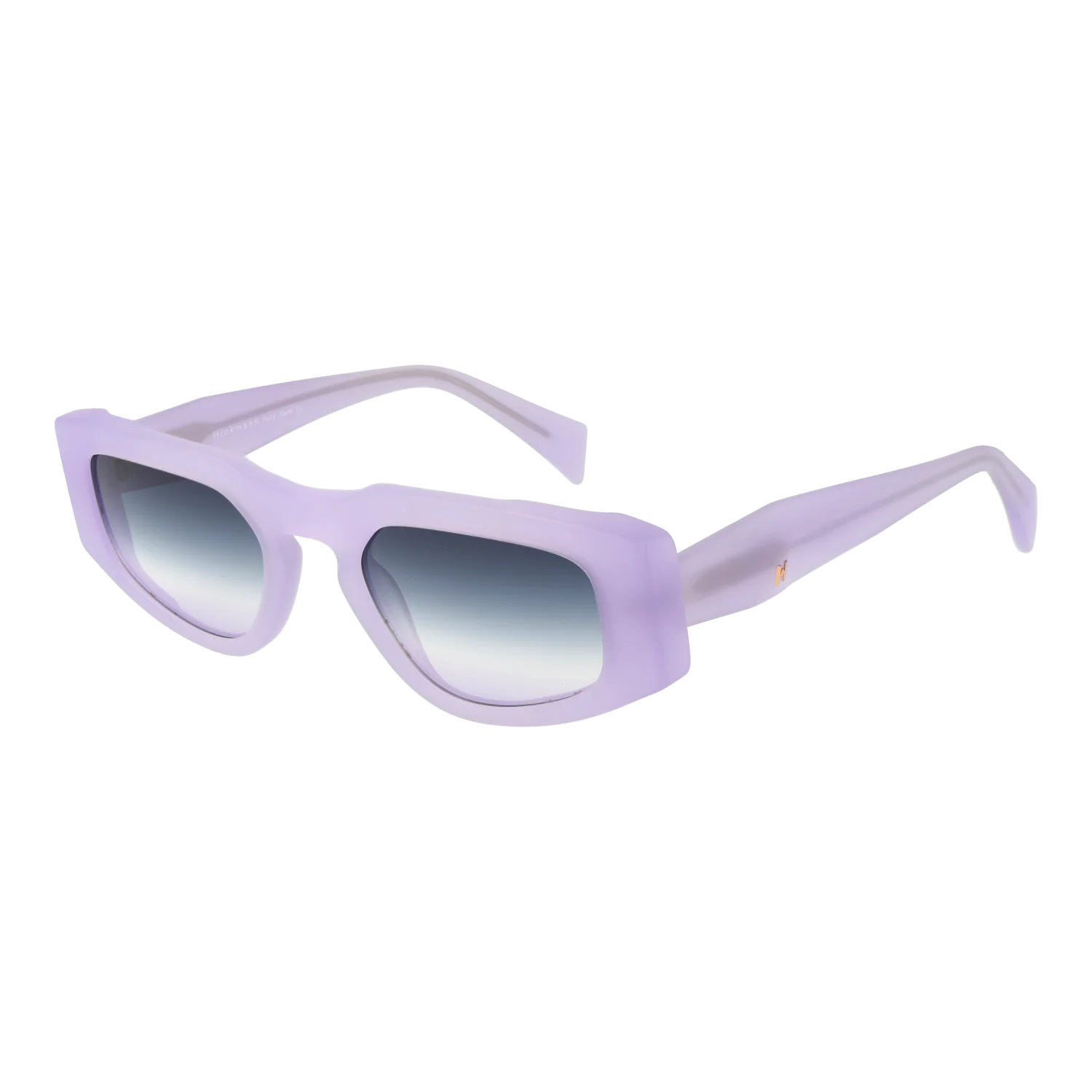 Ana Hickmann Lunettes De Soleil HI9220 T02 51
