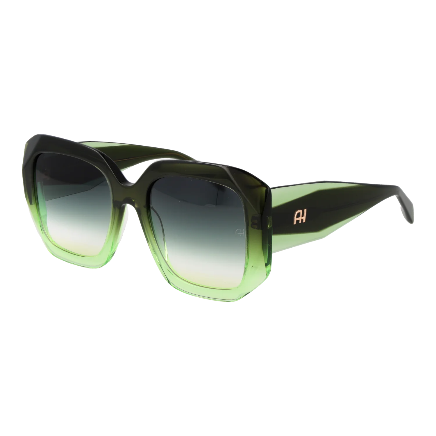 Ana Hickmann Sunglasses AH9413 C02 53