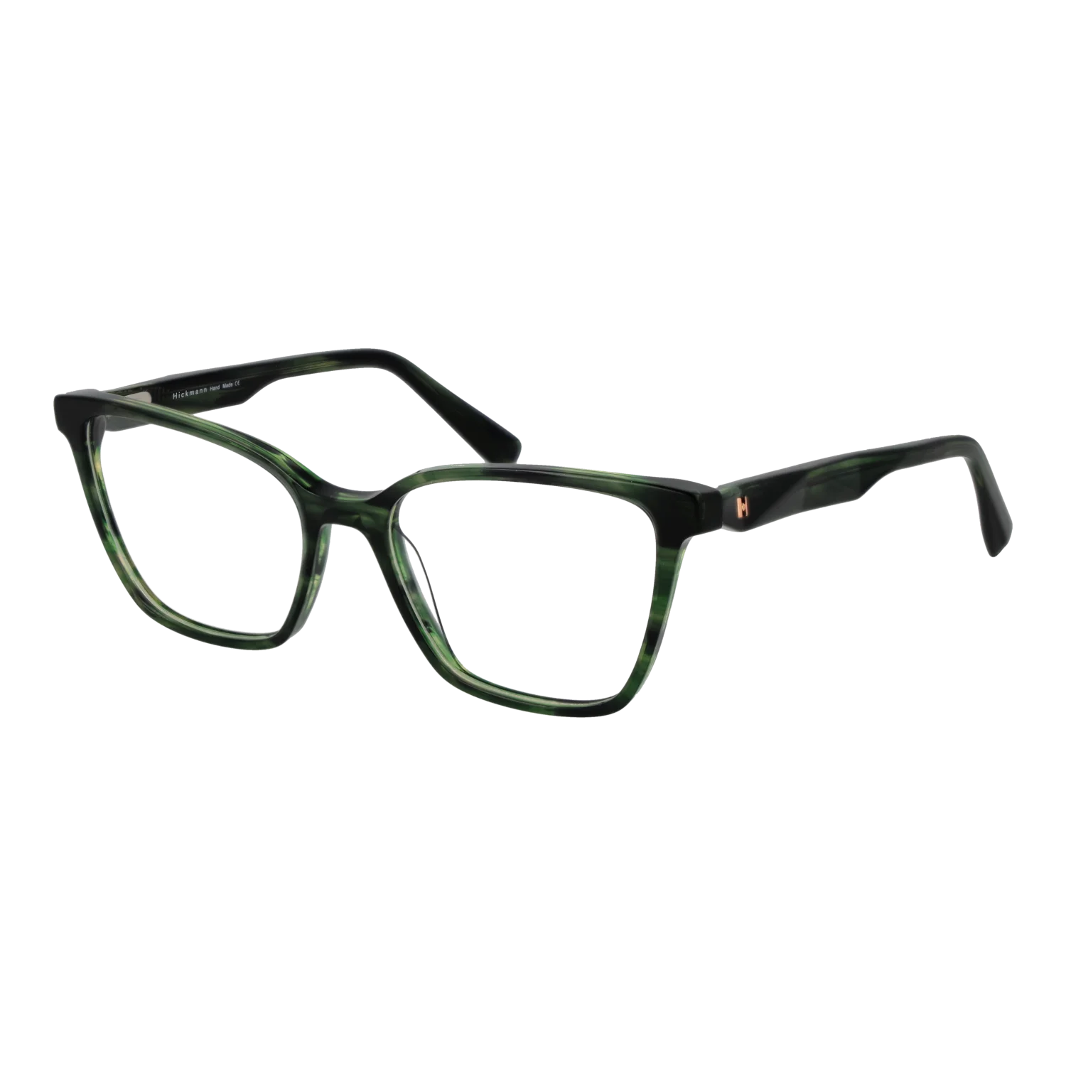 Ana Hickmann Gafas HI6303 E01 53