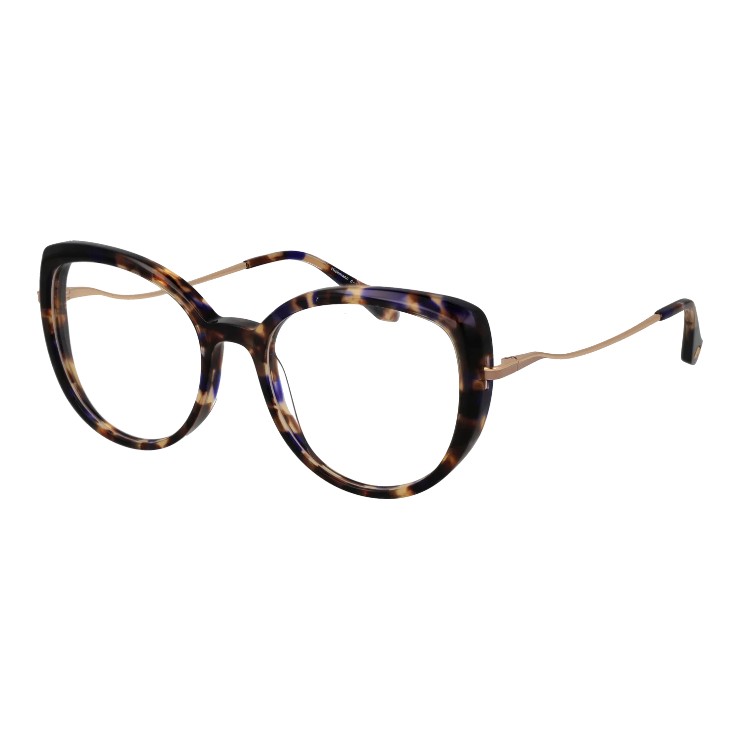 Ana Hickmann Optical Frame HI6334T G21 51 Titanium